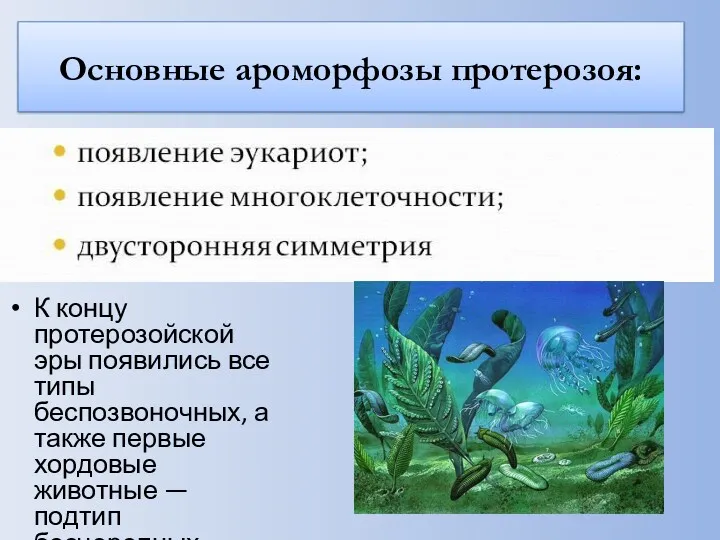 Основные ароморфозы протерозоя: К концу протерозойской эры появились все типы