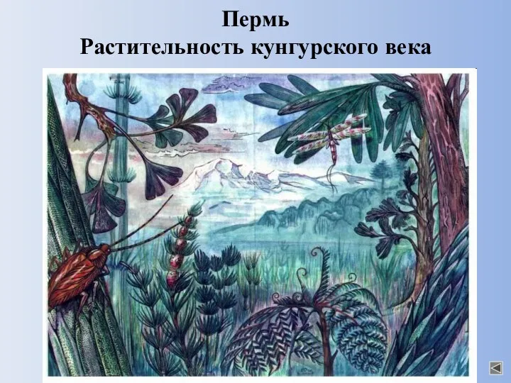 Пермь Растительность кунгурского века