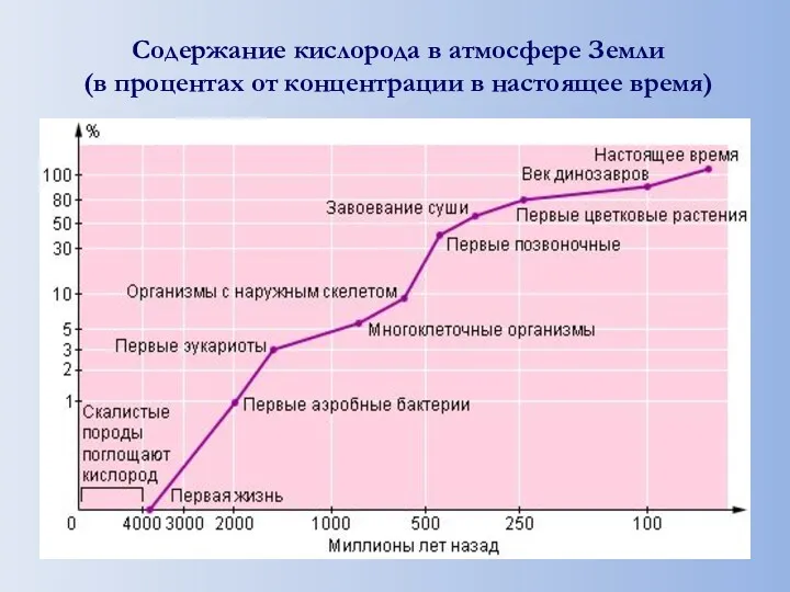 Содержание кислорода в атмосфере Земли (в процентах от концентрации в настоящее время)