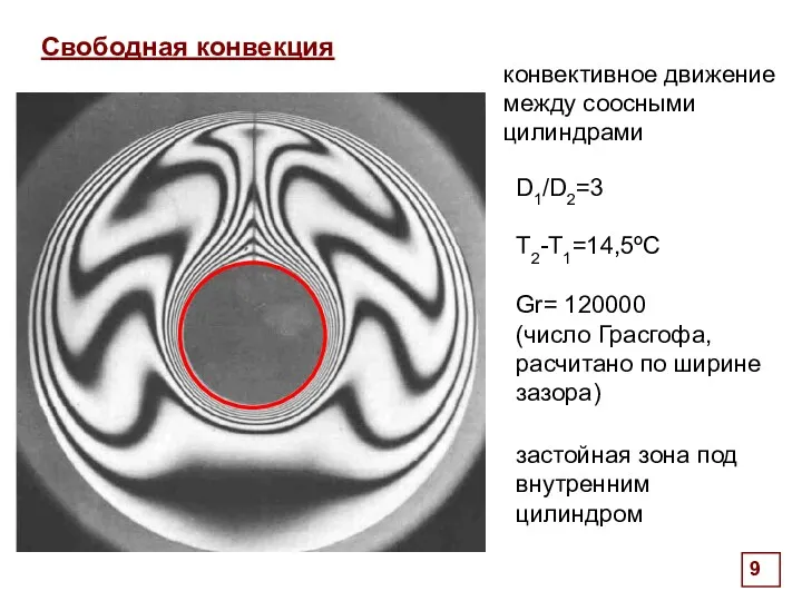 . Свободная конвекция D1/D2=3 T2-T1=14,5ºС Gr= 120000 (число Грасгофа, расчитано