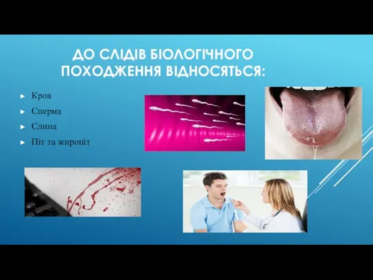 ДО СЛІДІВ БІОЛОГІЧНОГО ПОХОДЖЕННЯ ВІДНОСЯТЬСЯ: Кров Сперма Слина Піт та жиропіт