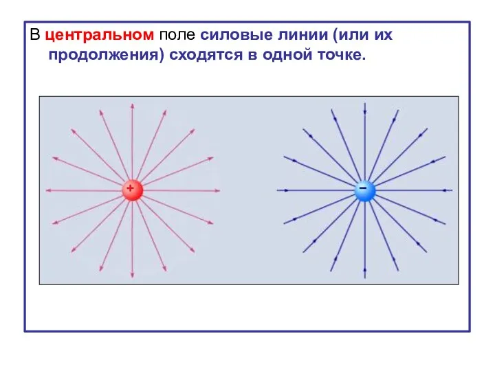 В центральном поле силовые линии (или их продолжения) сходятся в одной точке.