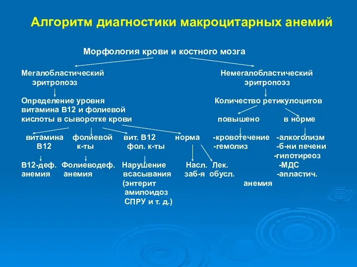 Алгоритм диагностики макроцитарных анемий Морфология крови и костного мозга Мегалобластический