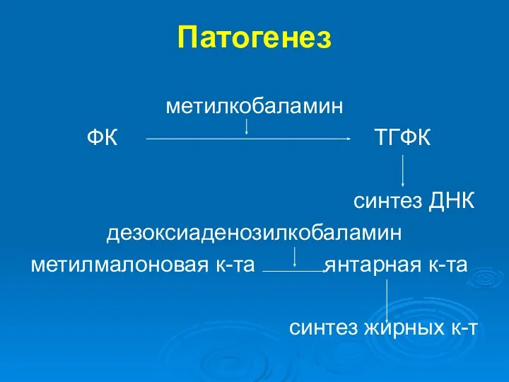 Патогенез метилкобаламин ФК ТГФК синтез ДНК дезоксиаденозилкобаламин метилмалоновая к-та янтарная к-та синтез жирных к-т