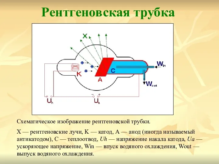 Рентгеновская трубка Схематическое изображение рентгеновской трубки. X — рентгеновские лучи,