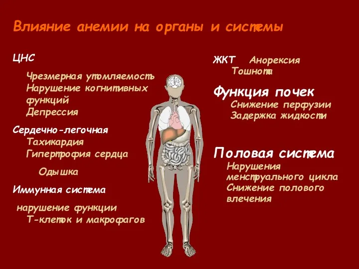 Влияние анемии на органы и системы ЦНС Чрезмерная утомляемость Нарушение когнитивных функций Депрессия