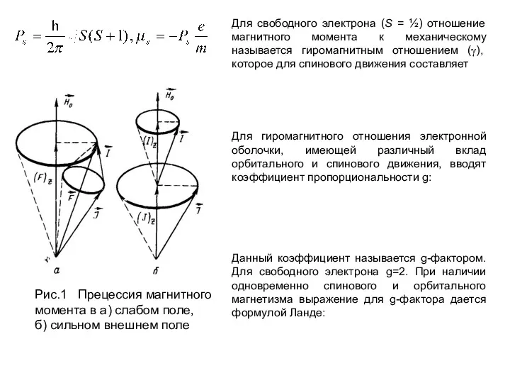 Для свободного электрона (S = ½) отношение магнитного момента к