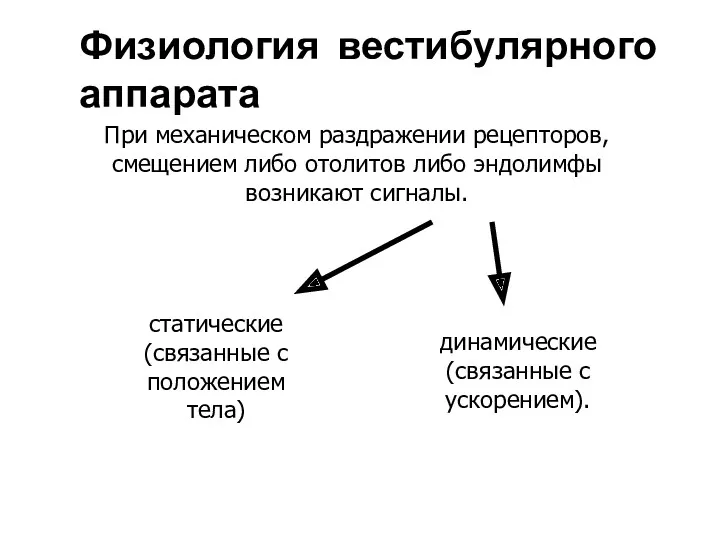 Физиология вестибулярного аппарата динамические (связанные с ускорением). статические (связанные с