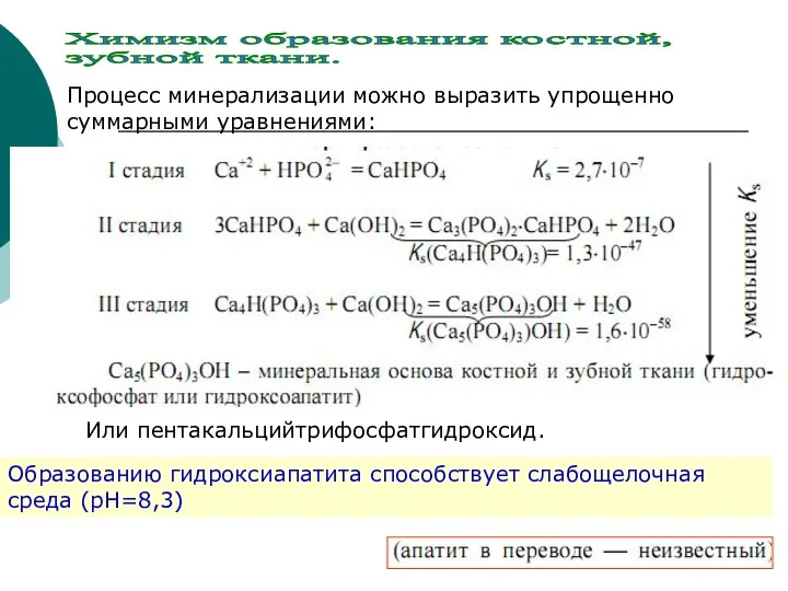 Химизм образования костной, зубной ткани. Процесс минерализации можно выразить упрощенно