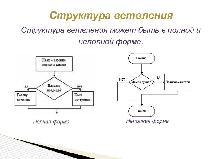 Структура ветвления Структура ветвления может быть в полной и неполной форме.