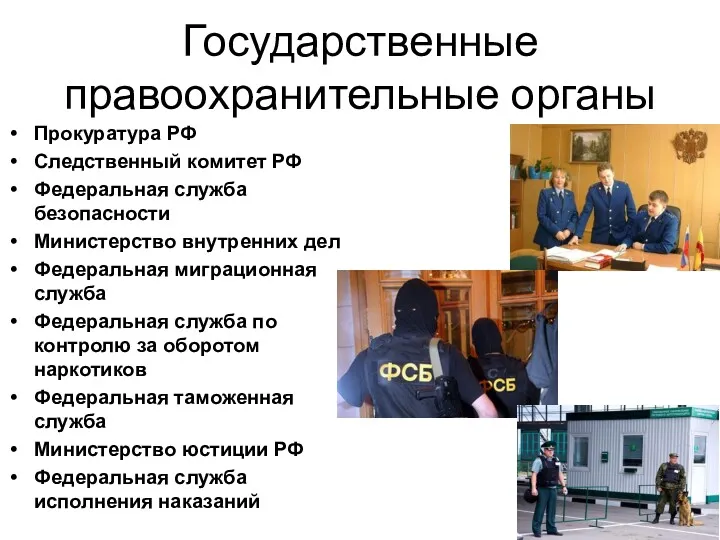Государственные правоохранительные органы Прокуратура РФ Следственный комитет РФ Федеральная служба