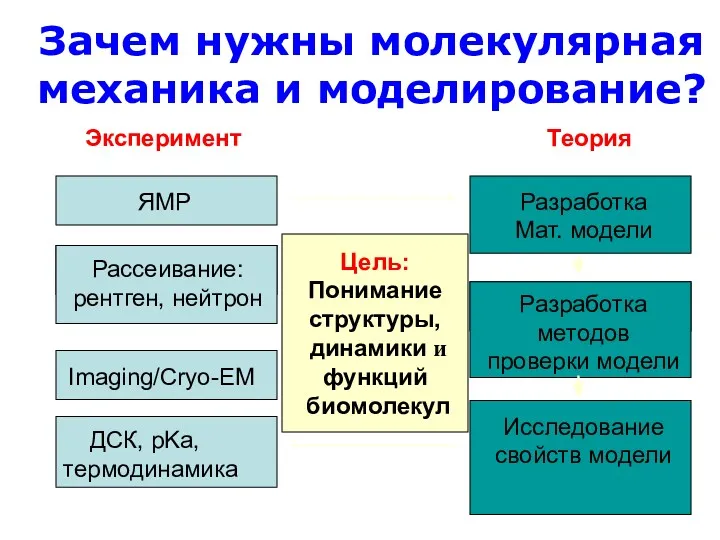 Зачем нужны молекулярная механика и моделирование? Эксперимент Теория ЯМР Разработка