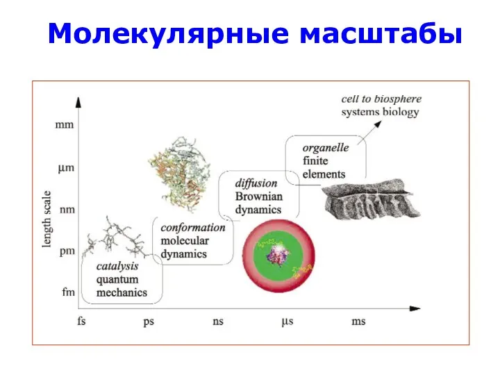 Молекулярные масштабы