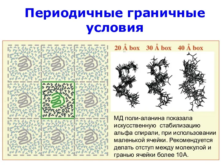 Периодичные граничные условия МД поли-аланина показала искусственную стабилизацию альфа спирали,