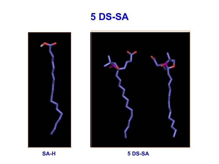 5 DS-SA 5 DS-SA SA-H