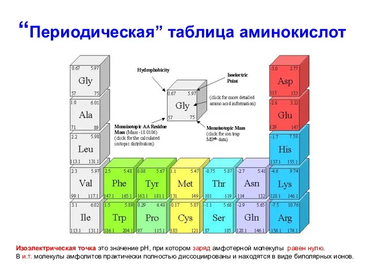 “Периодическая” таблица аминокислот Изоэлектрическая точка это значение рН, при котором