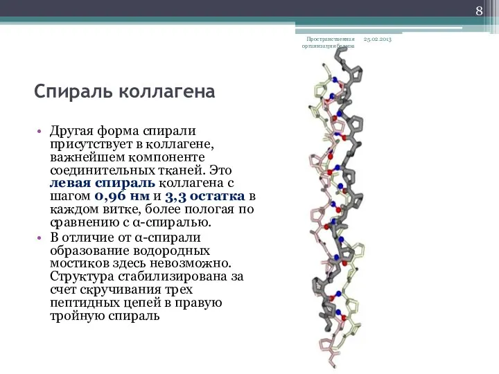 Спираль коллагена Другая форма спирали присутствует в коллагене, важнейшем компоненте соединительных тканей. Это