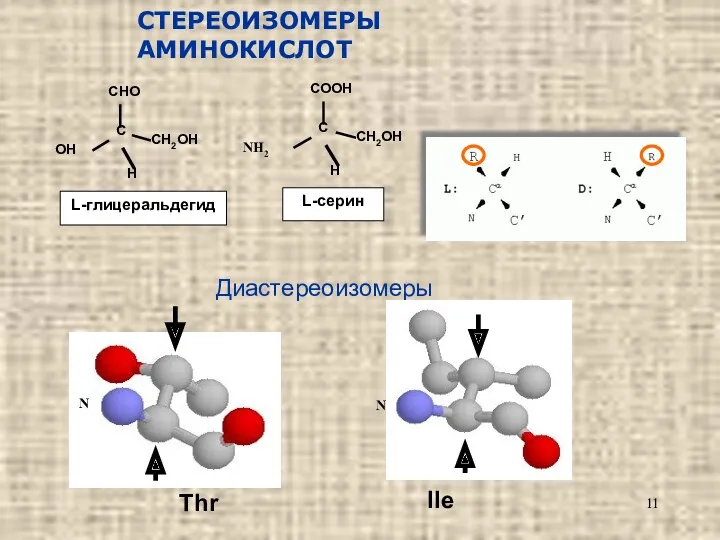 СТЕРЕОИЗОМЕРЫ АМИНОКИСЛОТ Диастереоизомеры Thr Ile