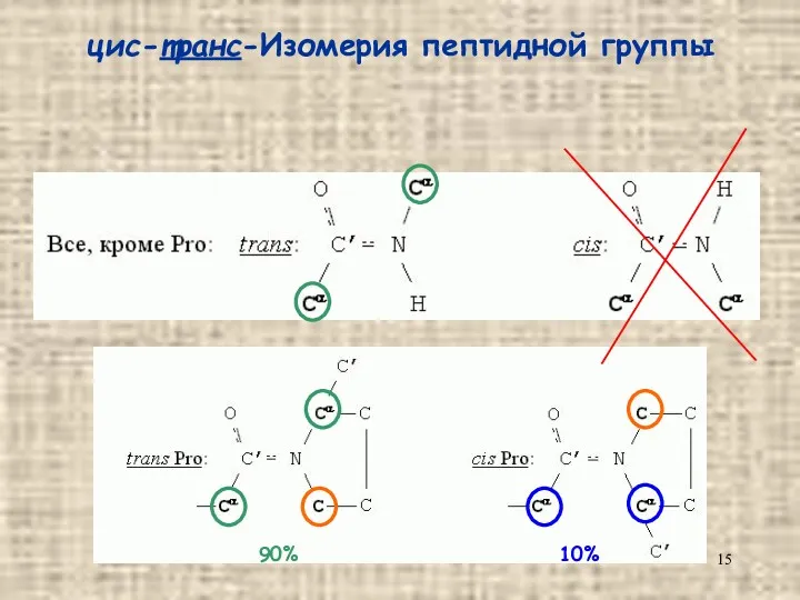 цис-транс-Изомерия пептидной группы 90% 10%