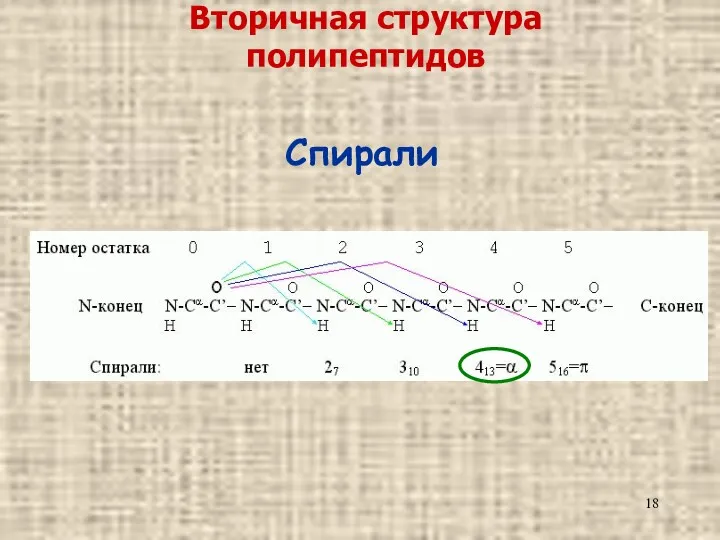 Вторичная структура полипептидов Спирали