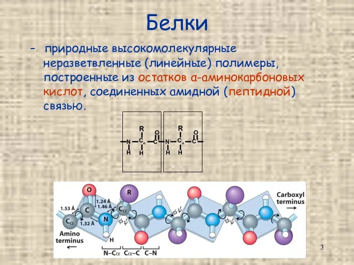 Белки - природные высокомолекулярные неразветвленные (линейные) полимеры, построенные из остатков α-аминокарбоновых кислот, соединенных амидной (пептидной) связью.