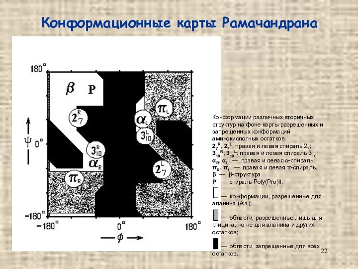 Конформационные карты Рамачандрана Конформации различных вторичных структур на фоне карты