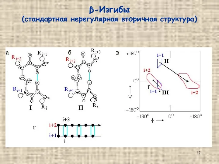 β-Изгибы (стандартная нерегулярная вторичная структура)