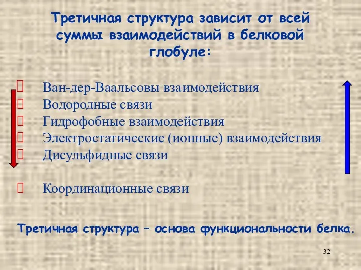 Третичная структура зависит от всей суммы взаимодействий в белковой глобуле: