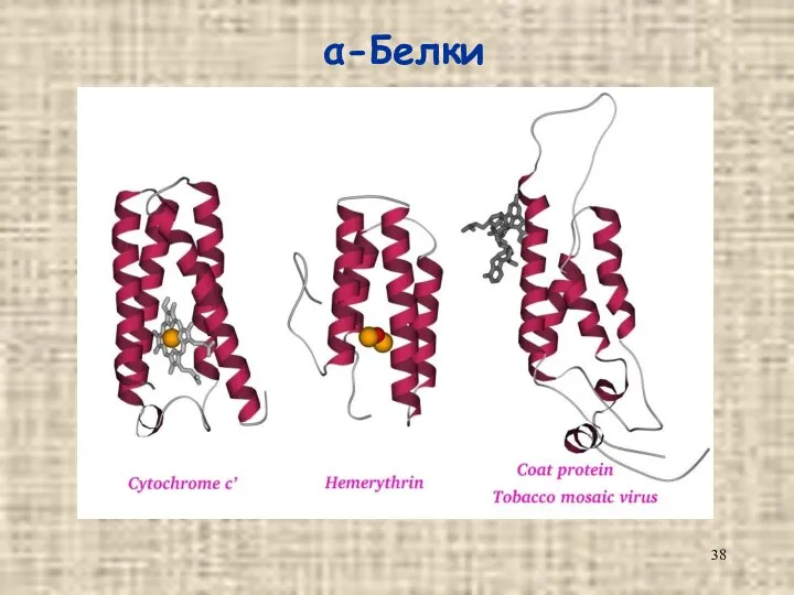 α-Белки