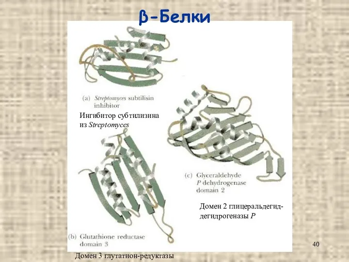 β-Белки Ингибитор субтилизина из Streptomyces Домен 2 глицеральдегид- дегидрогеназы Р Домен 3 глутатион-редуктазы