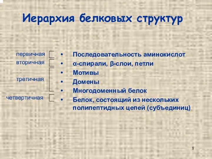 Иерархия белковых структур Последовательность аминокислот α-спирали, β-слои, петли Мотивы Домены