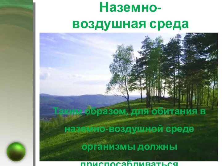 Наземно-воздушная среда · Высокое содержание кислорода; · Низкая влажность воздуха;