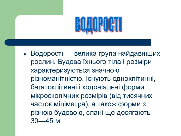 Водорості — велика група найдавніших рослин. Будова їхнього тіла і