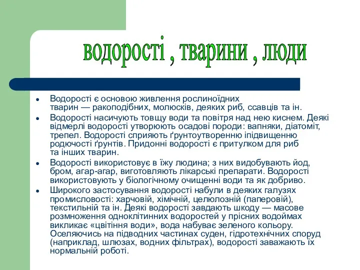 Водорості є основою живлення рослиноїдних тварин — ракоподібних, молюсків, деяких