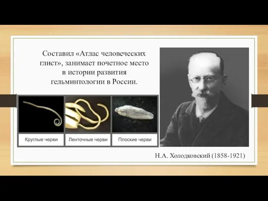 Н.А. Холодковский (1858-1921) Составил «Атлас человеческих глист», занимает почетное место в истории развития гельминтологии в России.