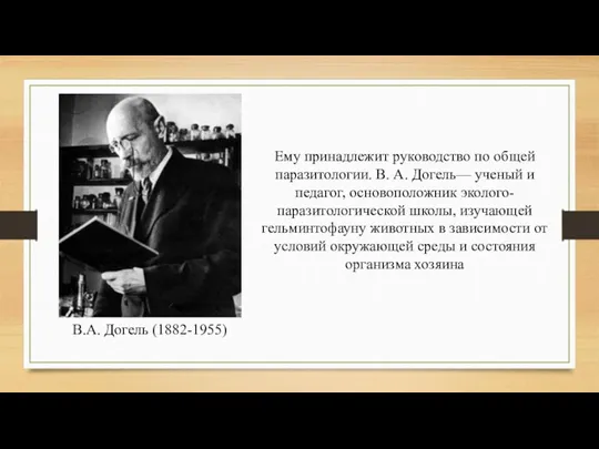 В.А. Догель (1882-1955) Ему принадлежит руководство по общей паразитологии. В.