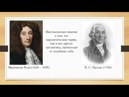 Франческо Реди (1626—1698) П. С. Паллас (1760) Ими высказано мнение