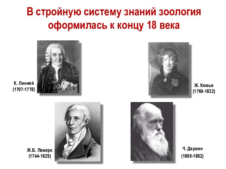В стройную систему знаний зоология оформилась к концу 18 века Ж.Б. Ламарк (1744-1829)