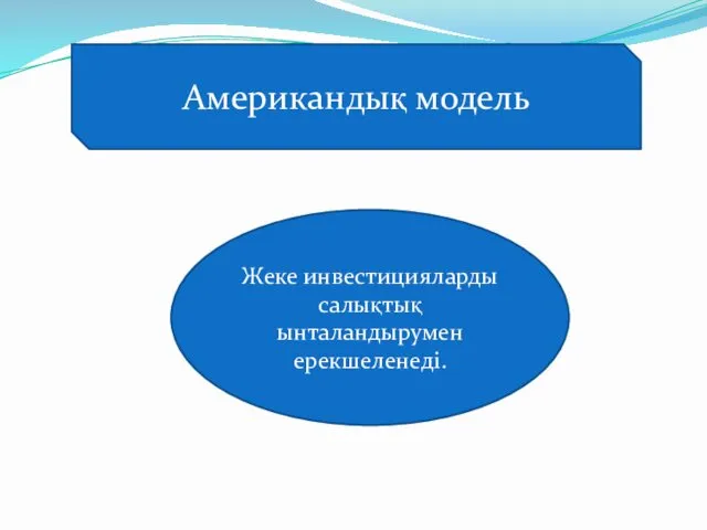 Американдық модель Жеке инвестицияларды салықтық ынталандырумен ерекшеленеді.