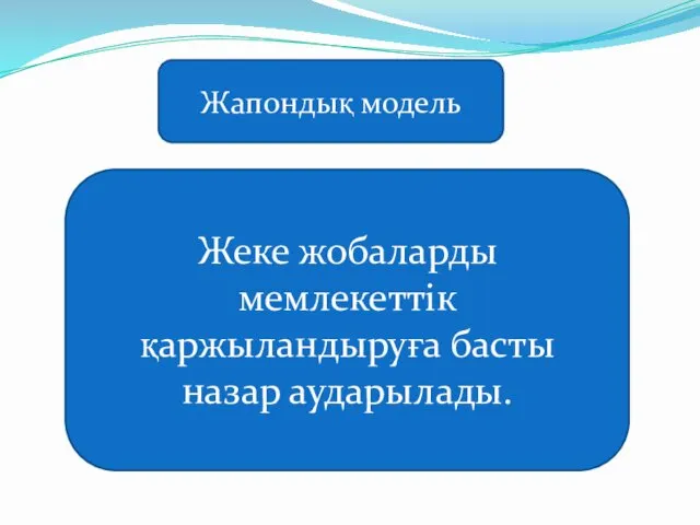 Жапондық модель Жеке жобаларды мемлекеттік қаржыландыруға басты назар аударылады.