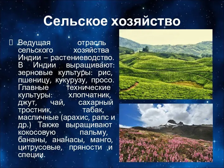 Сельское хозяйство Ведущая отрасль сельского хозяйства Индии – растениеводство. В