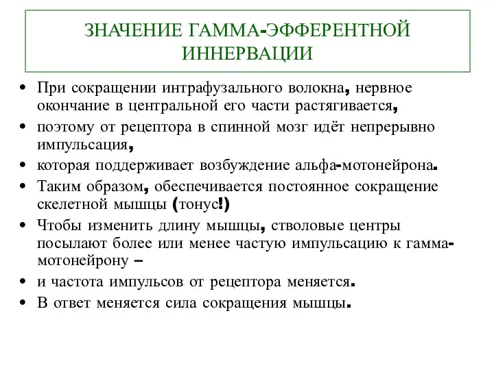 ЗНАЧЕНИЕ ГАММА-ЭФФЕРЕНТНОЙ ИННЕРВАЦИИ При сокращении интрафузального волокна, нервное окончание в