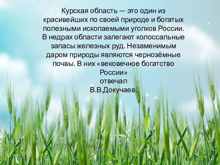 Курская область — это один из красивейших по своей природе