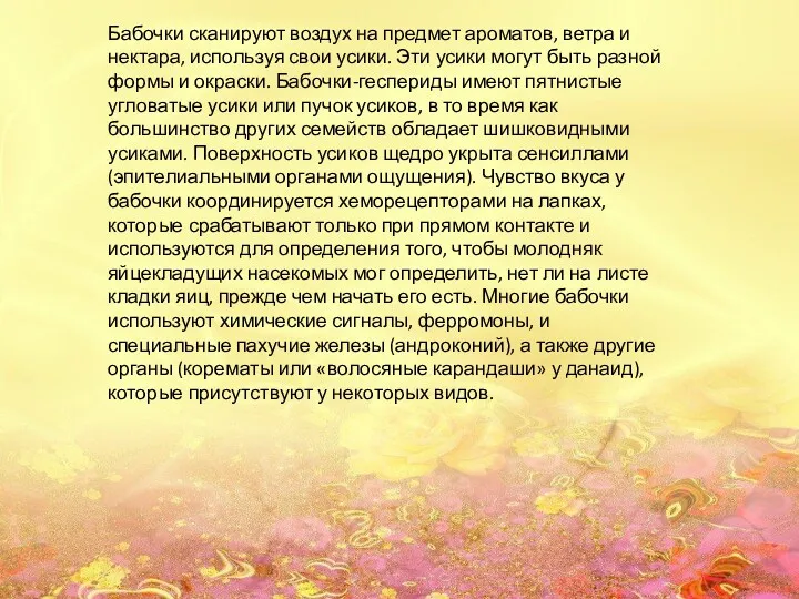 Бабочки сканируют воздух на предмет ароматов, ветра и нектара, используя