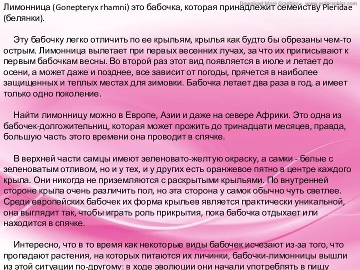 Лимонница (Gonepteryx rhamni) это бабочка, которая принадлежит семейству Pieridae (белянки).