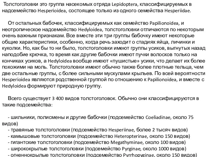 Толстоголовки это группа насекомых отряда Lepidoptera, классифицируемых в надсемейство Hesperioidea,