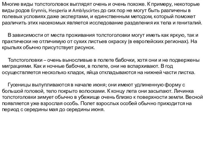 Многие виды толстоголовок выглядят очень и очень похоже. К примеру,