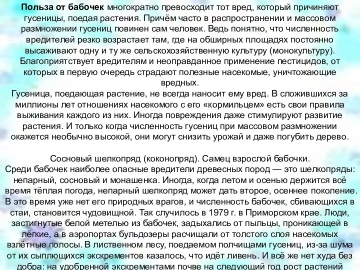 Польза от бабочек многократно превосходит тот вред, который причиняют гусеницы,