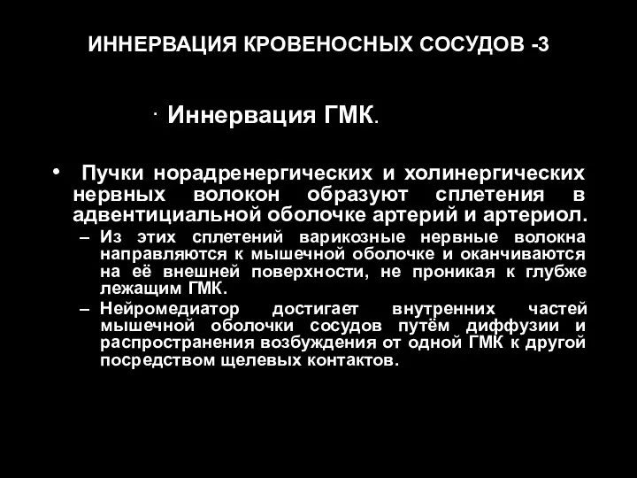 ИННЕРВАЦИЯ КРОВЕНОСНЫХ СОСУДОВ -3 · Иннервация ГМК. Пучки норадренергических и