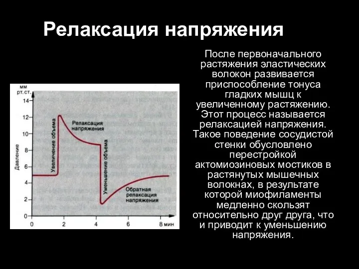 Релаксация напряжения После первоначального растяжения эластических волокон развивается приспособление тонуса